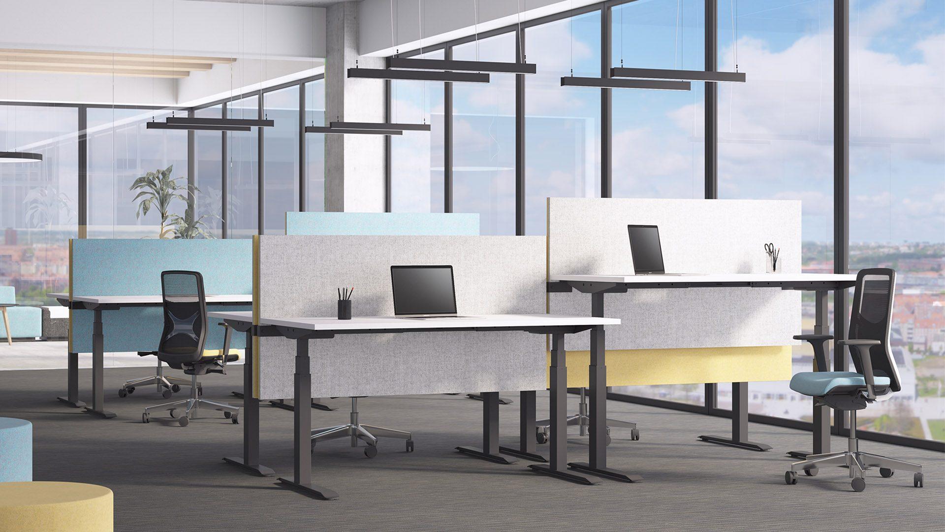 Active Sit-Stand desks from Octopus Interiors. Room shot showing height adjustable desks each with fabric covered acoustic screens