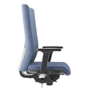 Aura task chair backrest showing 'S' shaped lumbar region support, adjustable on a ratchet mechanism 