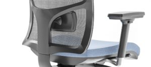 Diva chair backrest showing the optional adjustable lumbar support